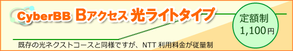 CyberBB MOBILE-WiMAX���\������