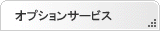 IvVT[rXꗗ